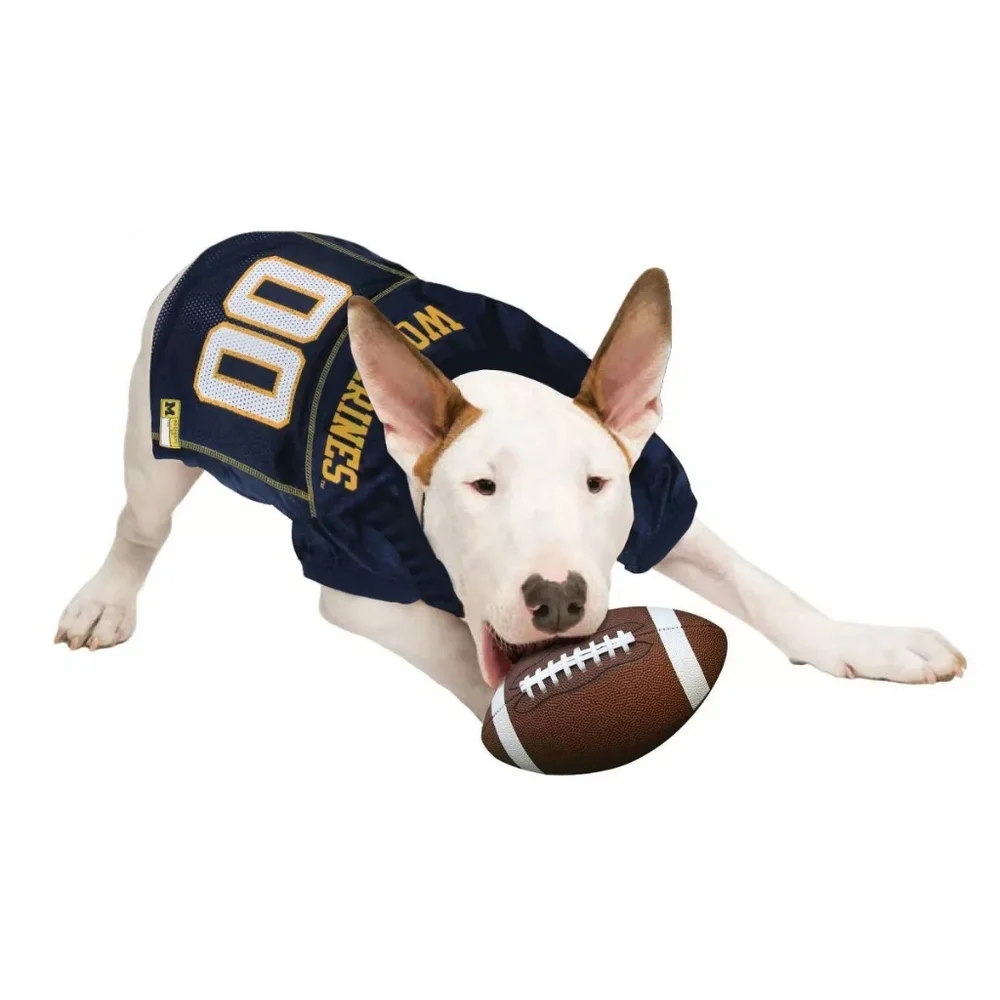 Pets First NCAA Michigan Wolverines Football Pet Mesh Jersey Size Small